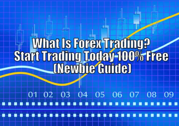 what is forex newbie guide